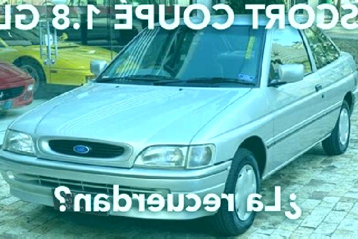 escort Alto Vista