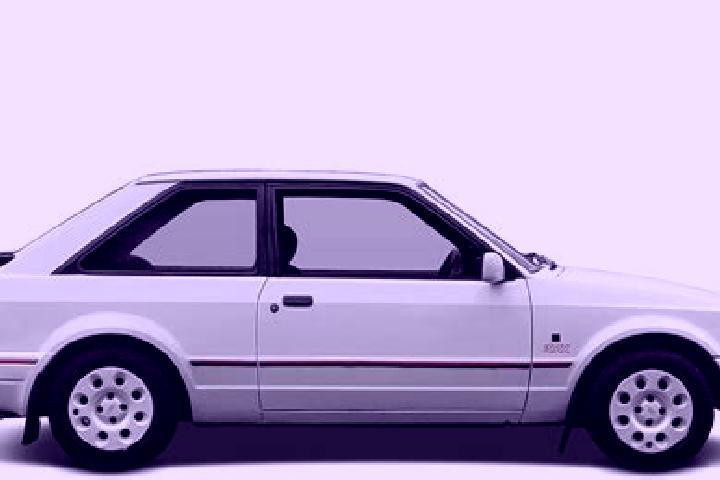 escort Amavida
