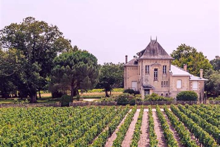 escort Ambillou-Chateau