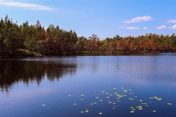 escort Ames Lake