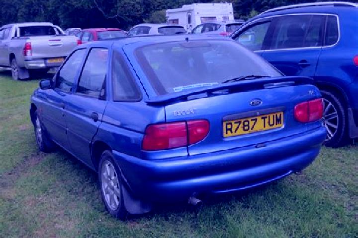 escort Amotfors