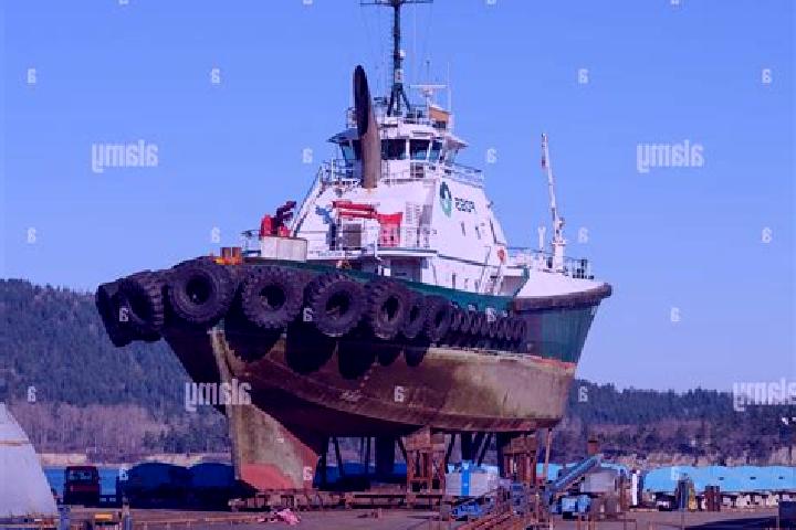 escort Anacortes