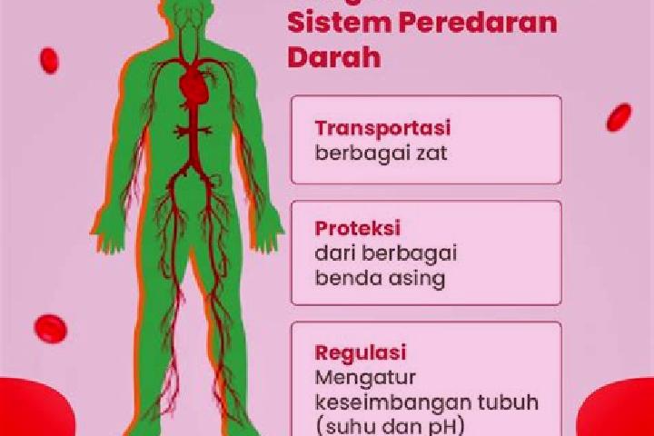 escort Anar Darah