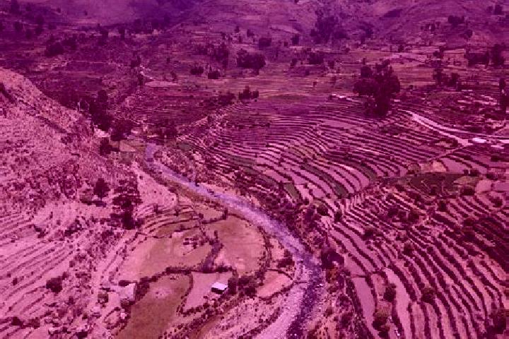 escort Andamarca