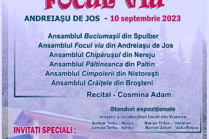 escort Andreiasu de Jos