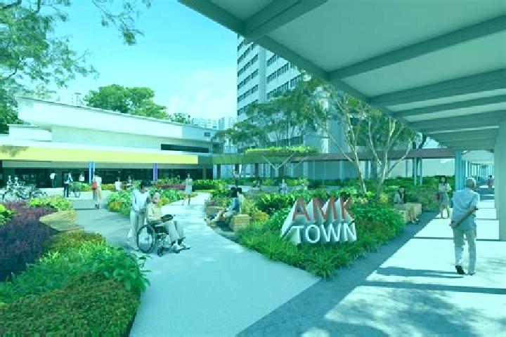 escort Ang Mo Kio New Town