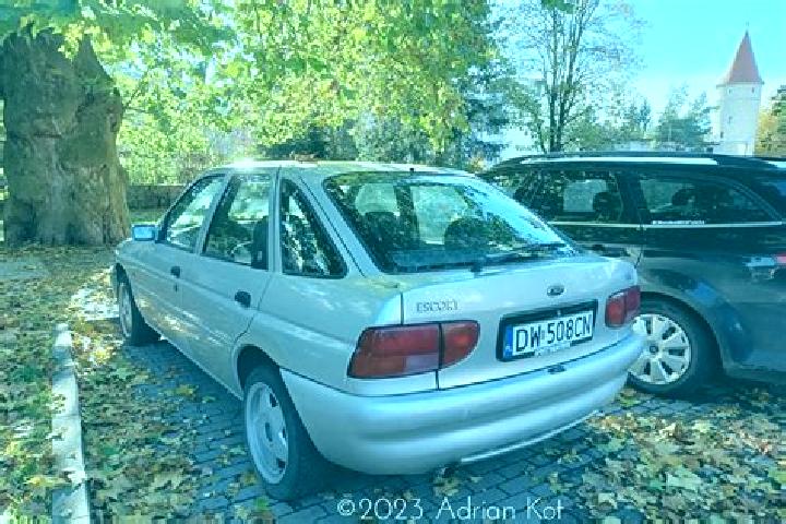 escort Angut