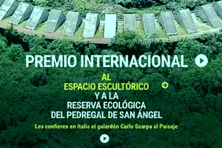 escort Anquela del Pedregal