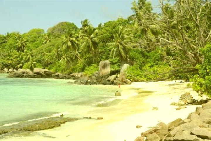 escort Anse aux Pins