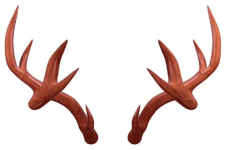 escort Antlers