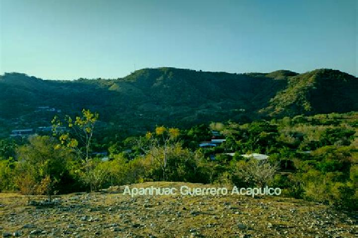escort Apanhuac (Apanguaque)
