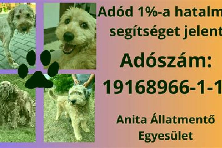 escort Apatfalva