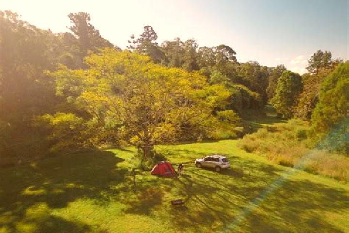 escort Aptos Hills-Larkin Valley