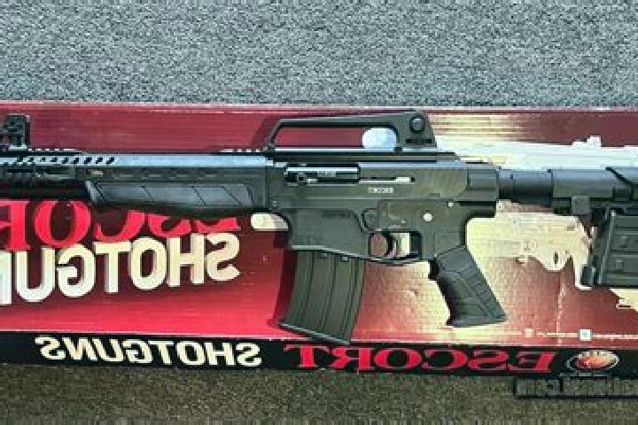 escort Ar Ramadi