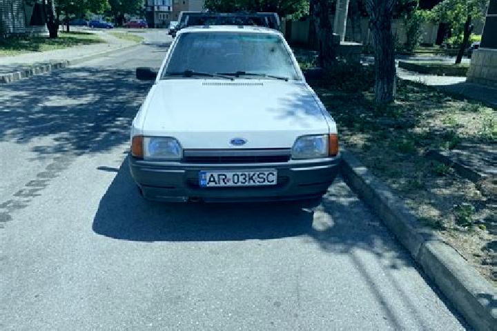 escort Arad