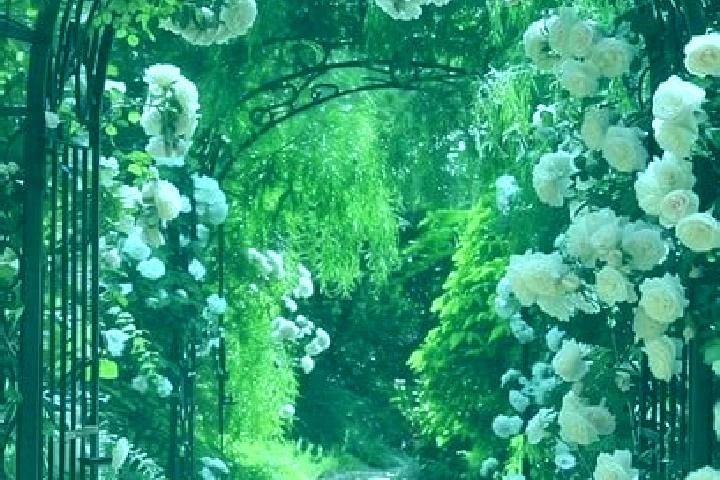escort Archway