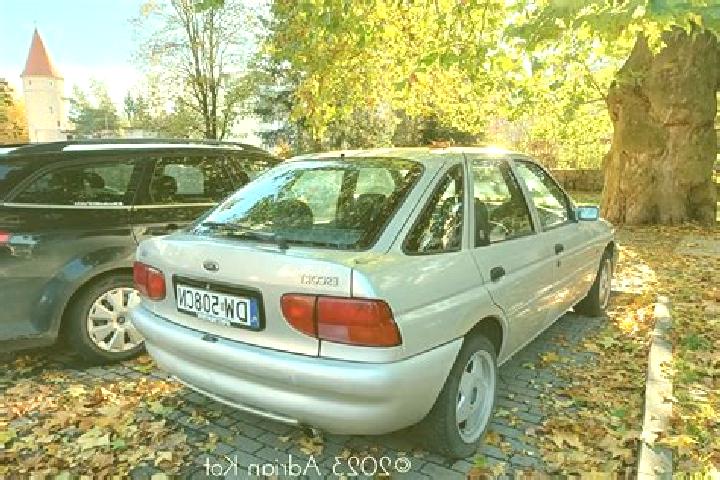 escort Ardin