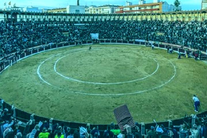 escort Arenas de San Juan