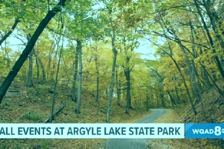 escort Argyle Park
