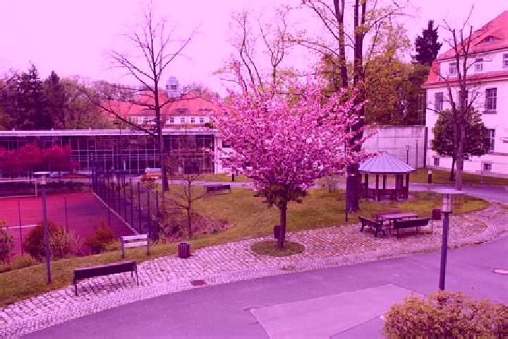 escort Arnsdorf