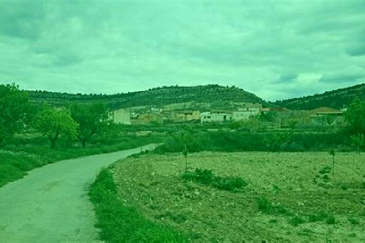 escort Arreguin de Arriba