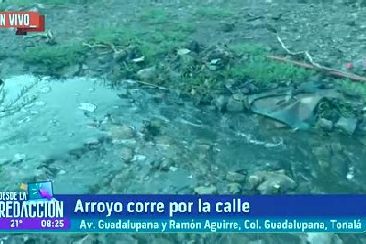 escort Arroyo de Enmedio
