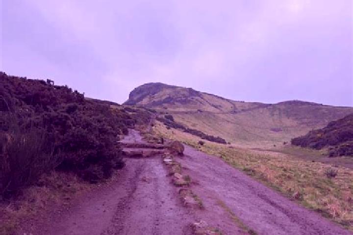 escort Arthur s Seat
