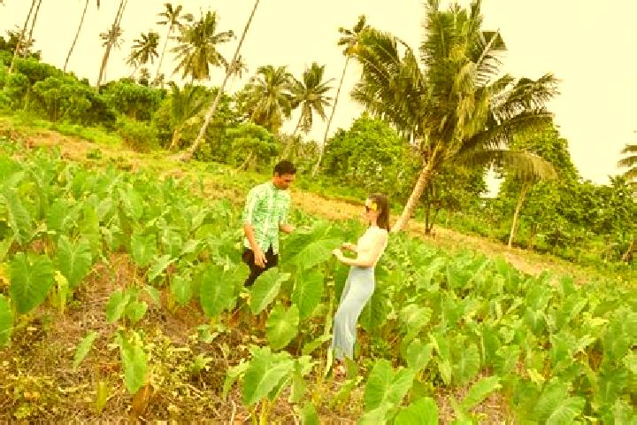 escort Asau Village