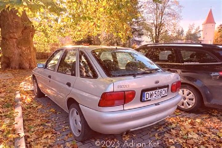 escort Assamstadt