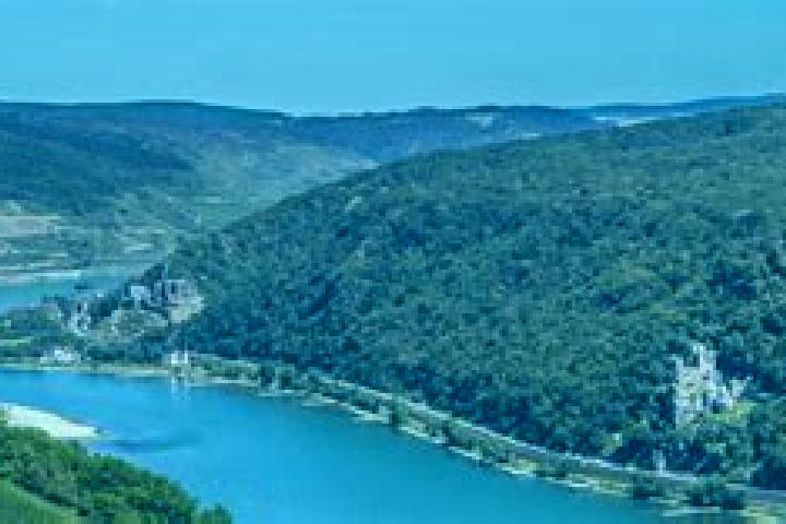 escort Assmannshausen