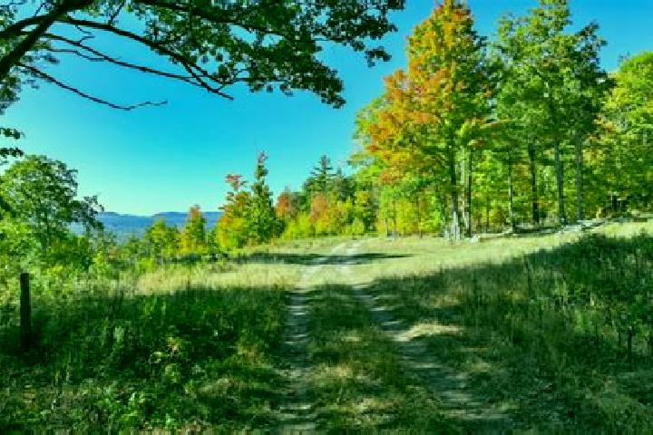 escort Au Sable Forks