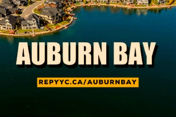escort Auburn Bay