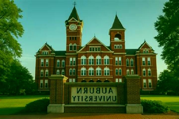 escort Auburn