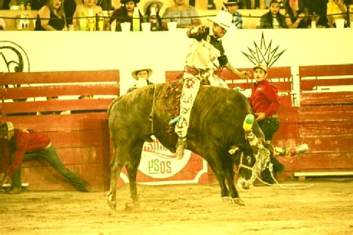 escort Autlan de Navarro