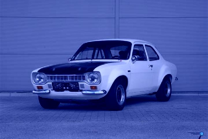 escort Avigdor