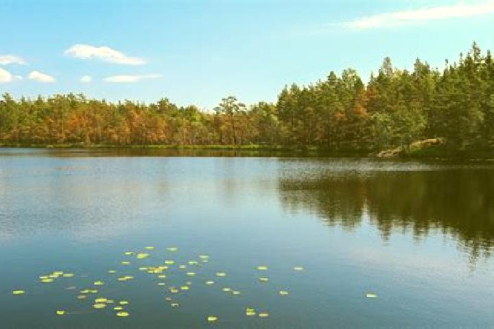escort Avon Lake