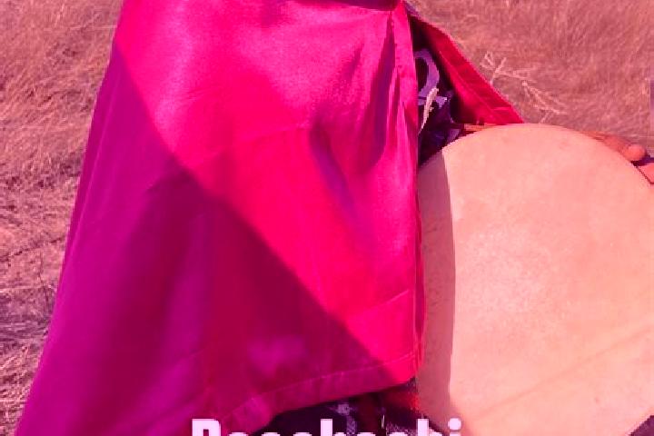 escort Bacabachi