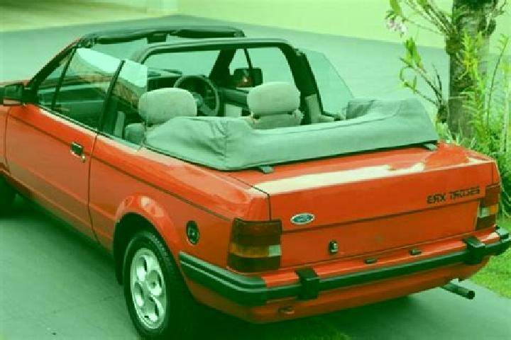 escort Bacaoani