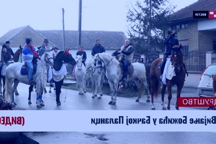 escort Backa Palanka
