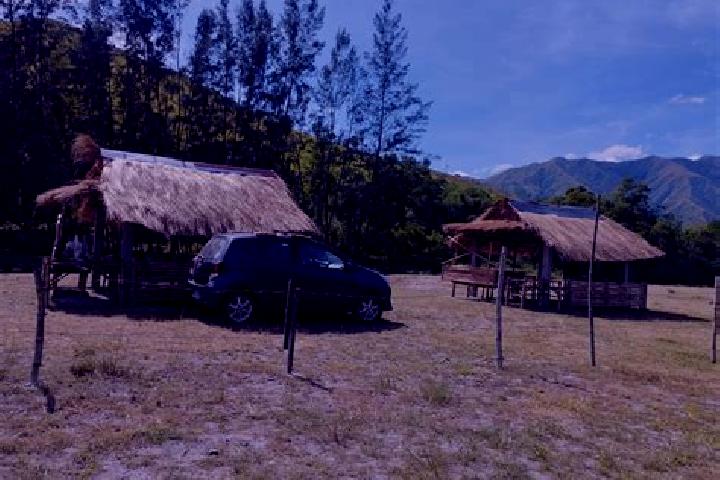 escort Bacungan