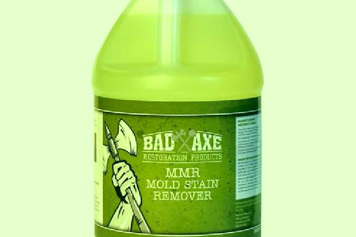 escort Bad Axe