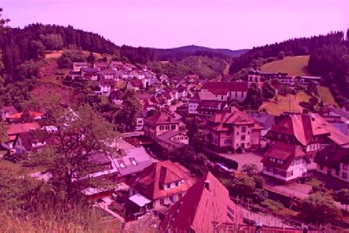 escort Bad Rippoldsau-Schapbach