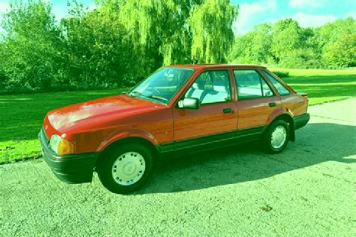 escort Bad Rud