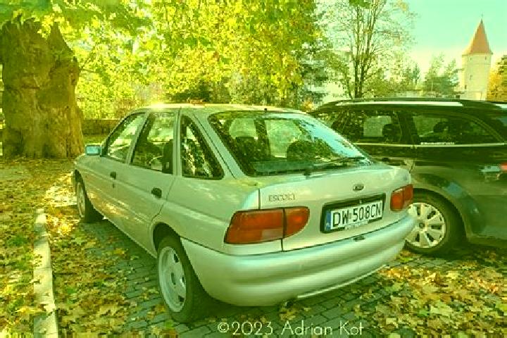 escort Baeherden