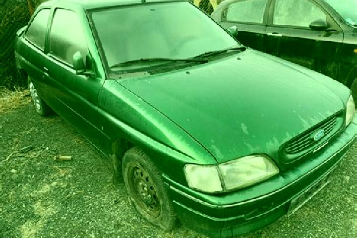 escort Baia Mare