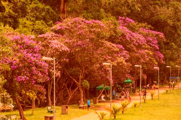 escort Bairro Parque Nossa Senhora do Carmo