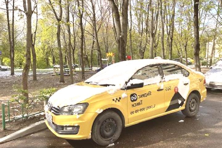 escort Balashikha