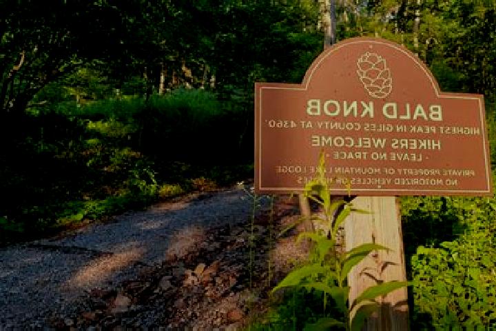 escort Bald Knob