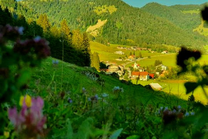 escort Balderschwang