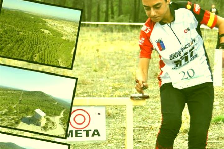 escort Balsa de Ves